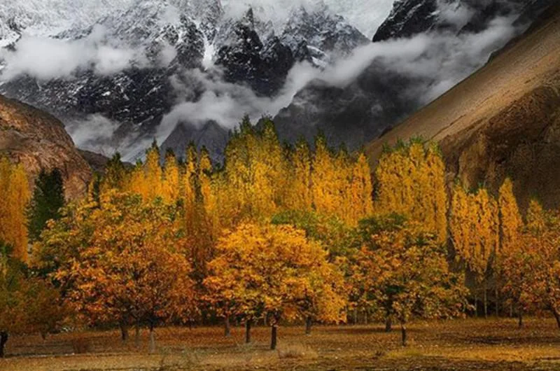 Hunza Valley Tour Package from Lahore with Northern Passage
